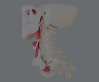 Статья в блоге